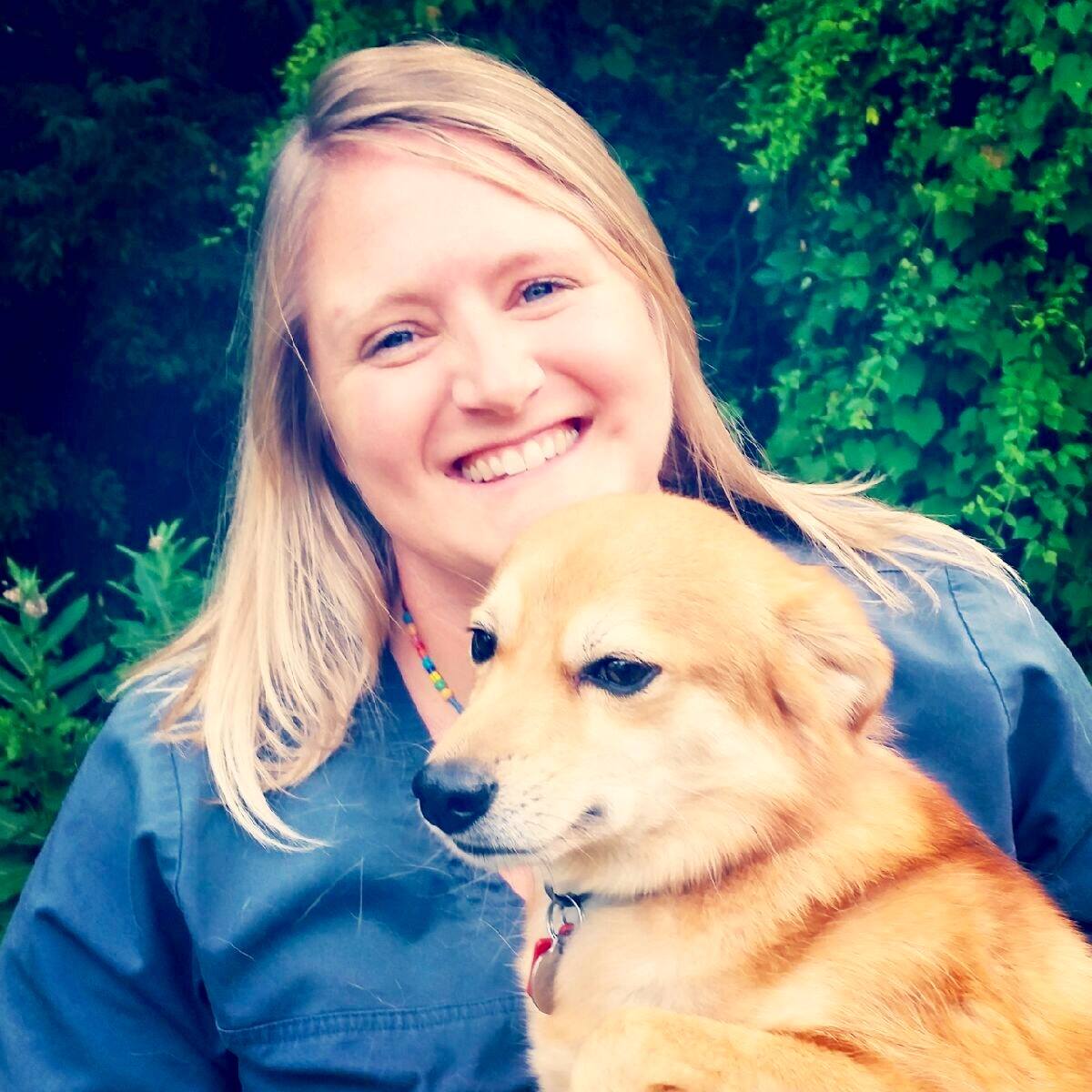 Veterinarian Reviews In Greensboro, NC 27455 North Elm Animal Hospital