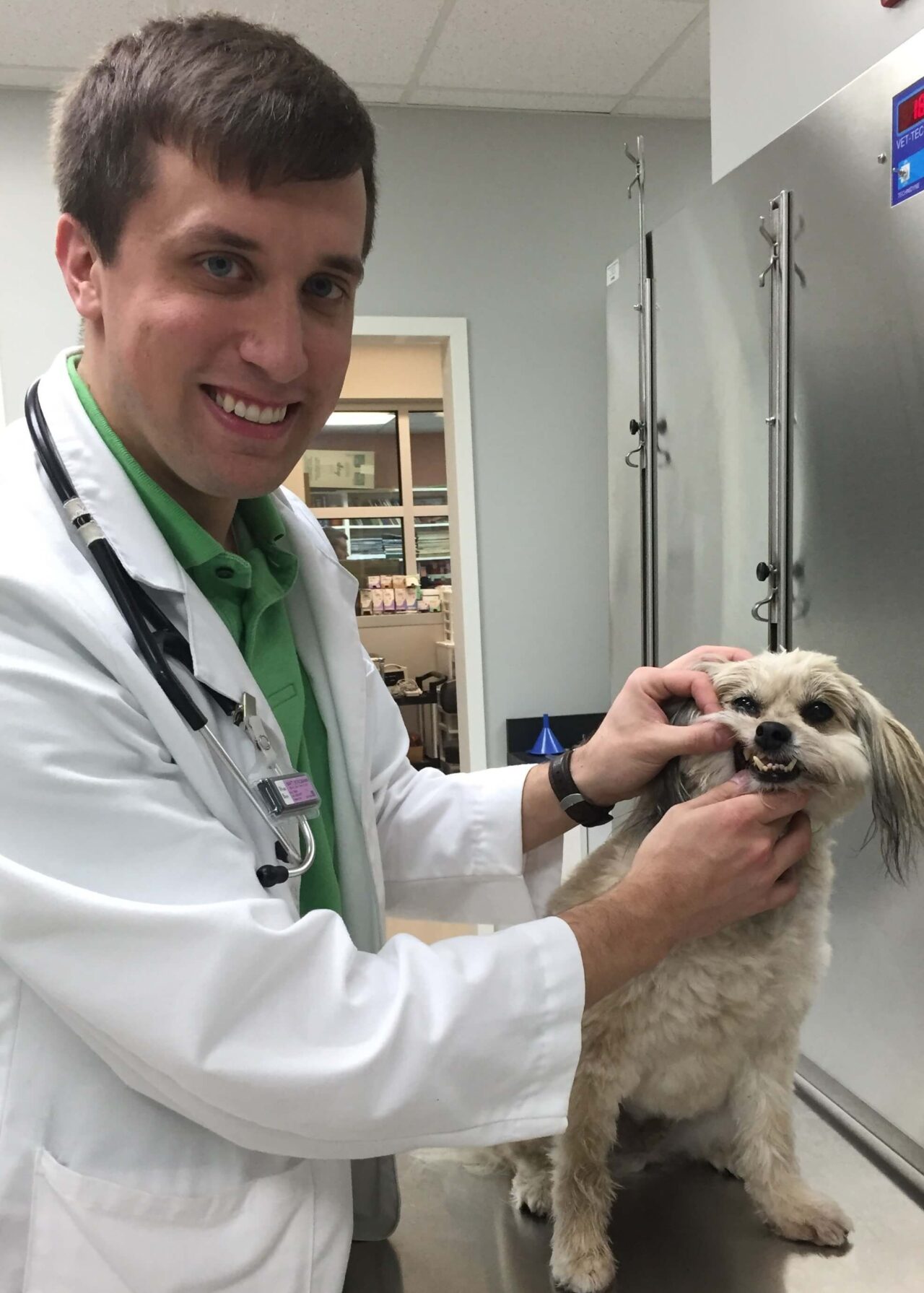 Pet Dental Care In Greensboro, NC 27455 | North Elm Animal Hospital