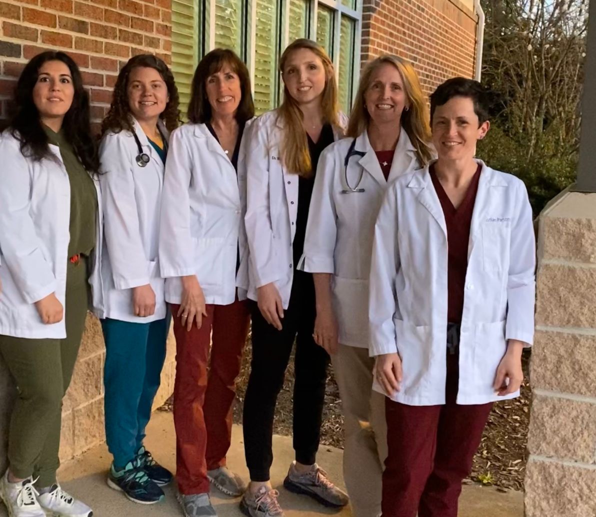 Team page header North Elm Animal Hospital Team