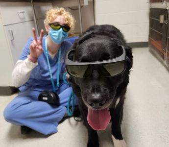 laser-therapy